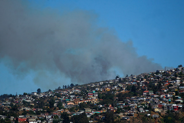 Alerta Roja en Valparaíso por incendio forestal en sector de Placilla