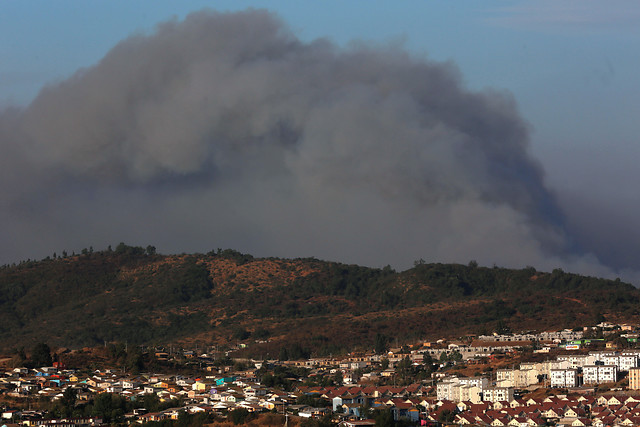 Intendencia declara alerta roja para Valparaíso por incendio forestal