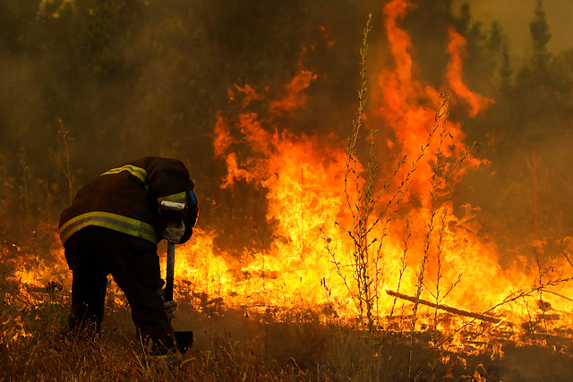 Alerta roja en Quilpué por incendio que amaga a subestación eléctrica y casas