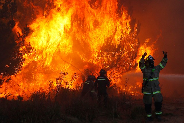 Al menos 50 casas destruidas en Los Maitenes, Limache, por incendio forestal