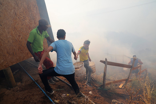 Conaf confirma que hay cinco alertas rojas por incendios forestales en el país