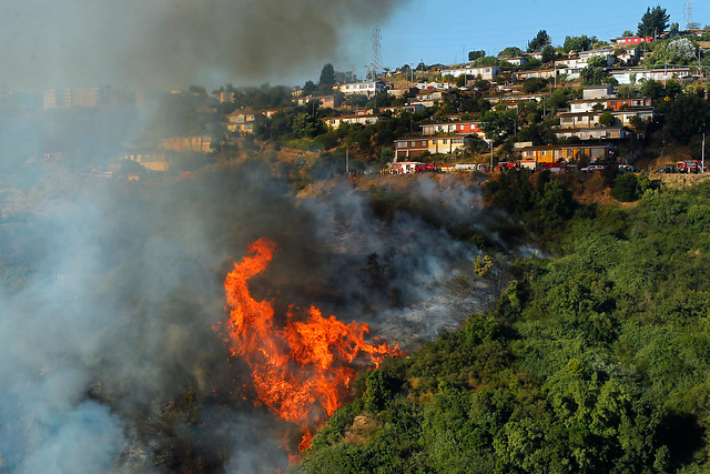 Declaran alerta roja en San Antonio por incendio forestal