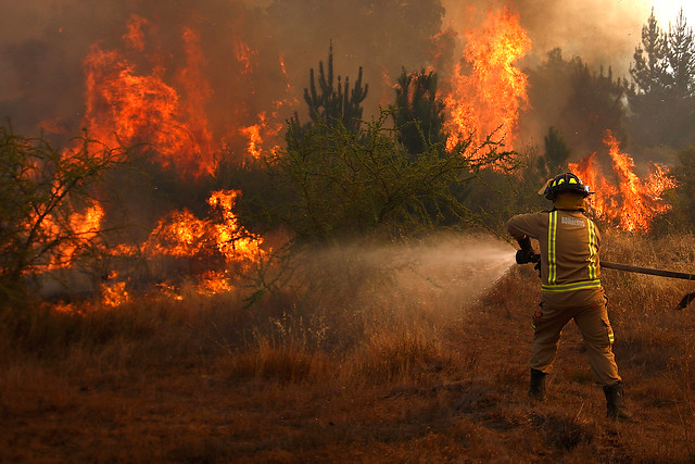 Conaf reportaba 43 incendios forestales activos a nivel nacional hasta anoche