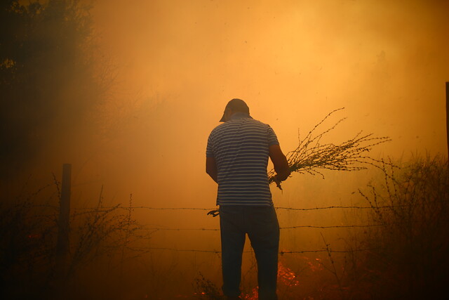 Se reportan 44 incendios forestales de los cuales 15 se mantienen activos