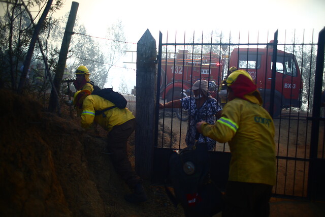 Viña del Mar: comerciantes denuncian por perdidas tras un día y medio sin luz luego de un incendio