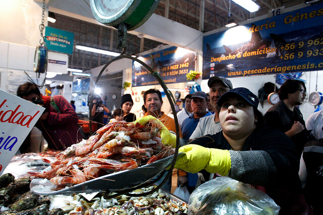 Semana Santa: Se ha incautado 401 kilos de productos del mar en mal estado