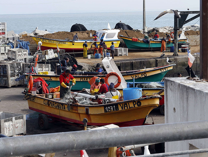 Caleta Higuerillas: Pescadores están preparando ideas para diversificar sus productos