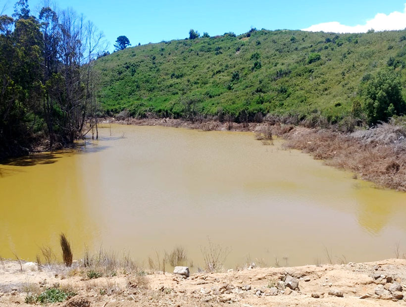 Laguna Verde: encienden las alarmas por agua contaminada