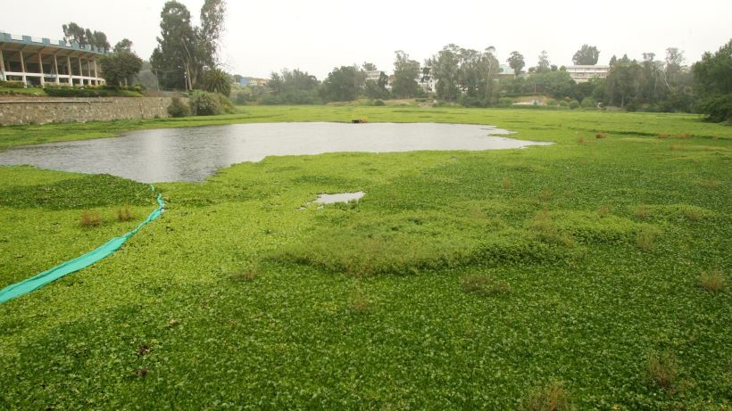 Laguna Sausalito detienen a acusado de cometer 5 violaciones