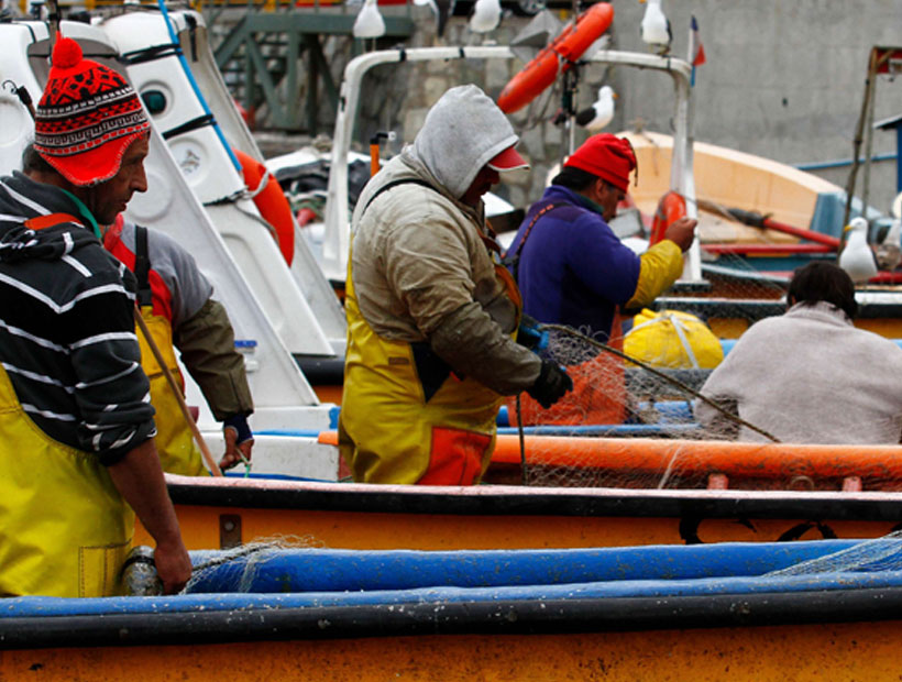 Valparaíso: Tres caletas utilizan modelo de ONG Internacional