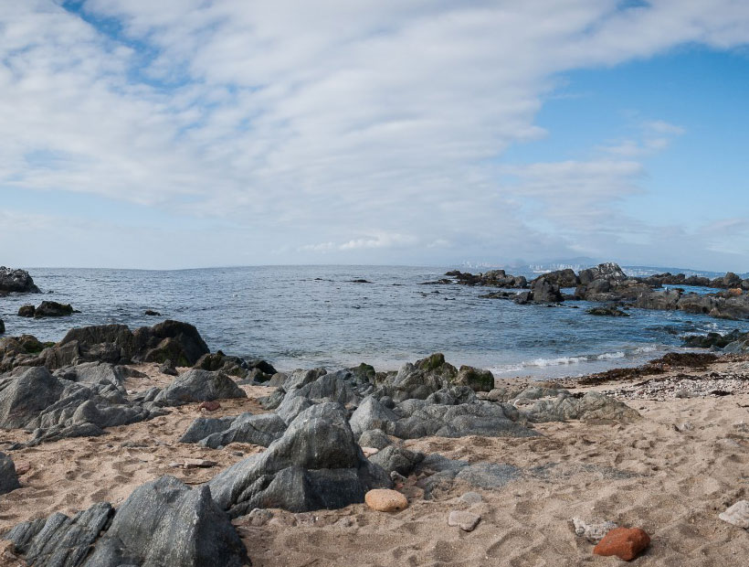 Inician investigación sobre medio ambiente y recursos naturales