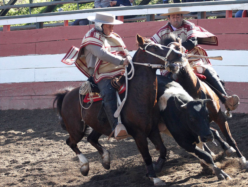 Prieto: “invito a aquellos que no están de acuerdo con el rodeo a que se vayan del país”