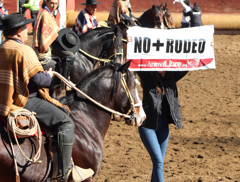 Valparaíso: Diputados se reunen con defensores del rodeo