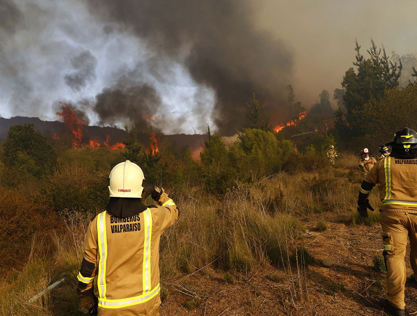 Valparaíso: declaran Alerta Roja para la comuna por incendio forestal