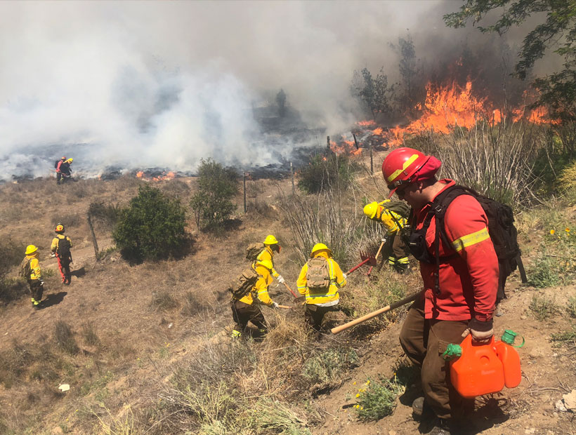 Valparaíso: Nuevas exigencias de prevención de incendios en plantaciones forestales