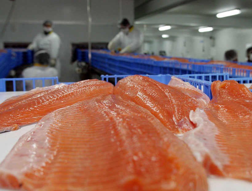 Chile suspende a todos los embarques de salmones hacia China