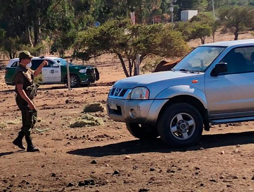 En Casablanca detienen a un hombre por maltrato animal