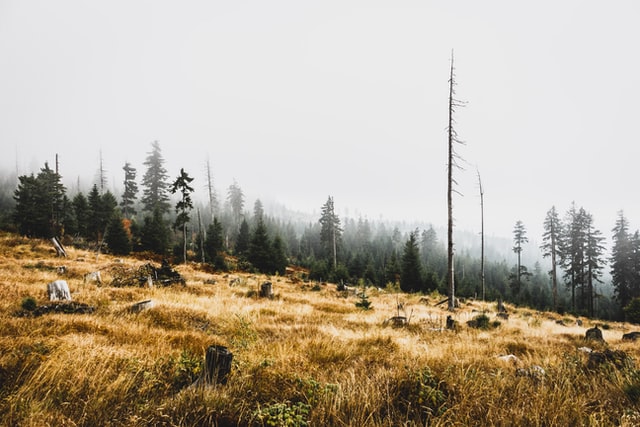 Detienen a tres personas en Los Ándes por quemas agricolas y forestales ilegales