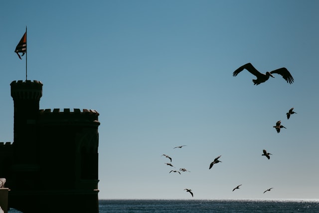 Agrupación acusa nulo avance de querella por reconstrucción de Teatro Municipal de Viña del Mar