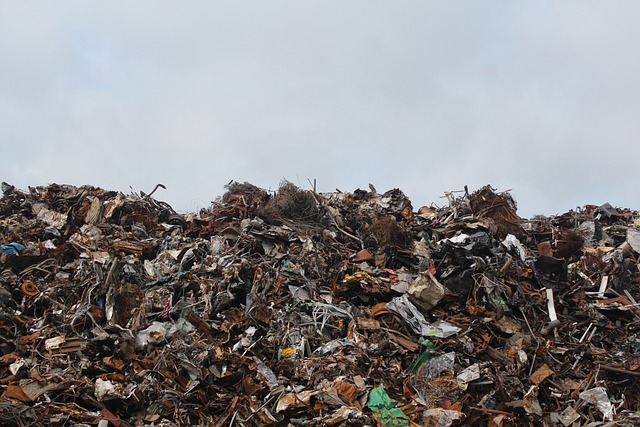 Retiran más de 100 toneladas de basura y escombros en Estero Marga Marga de Viña del Mar