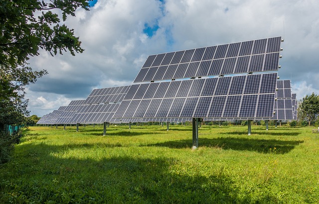 Roban 22 paneles solares y un inversor desde cooperativa de pequeños agricultores en La Ligua