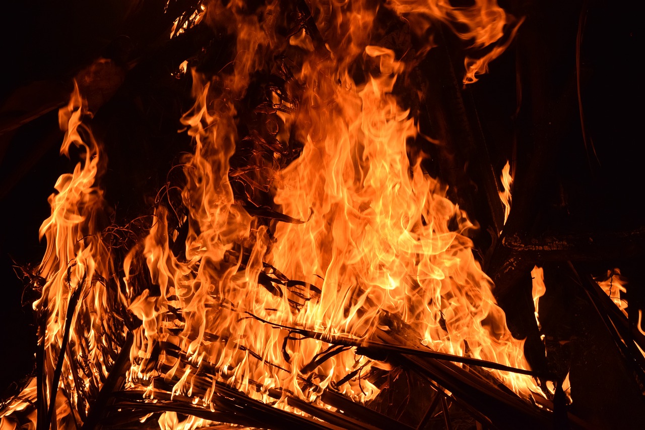 Cifran en más de 4 mil las hectáreas de bosque nativo afectadas por incendios en región de Valparaíso