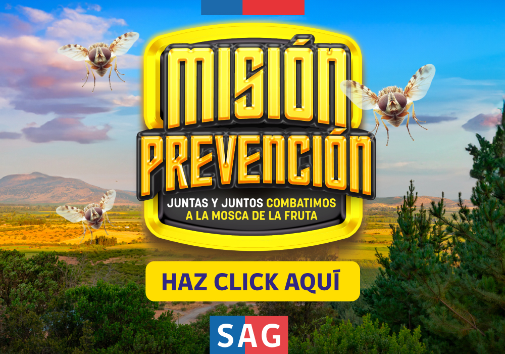 SAG lanza campaña comunicacional para evitar el ingreso a Chile de la mosca de la fruta