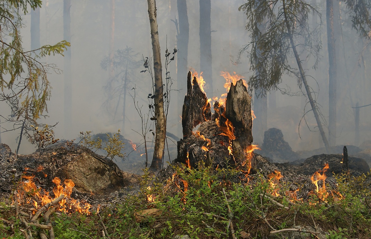 Municipio de Quilpué presenta antecedentes en demanda de víctimas del megaincendio de Valparaíso