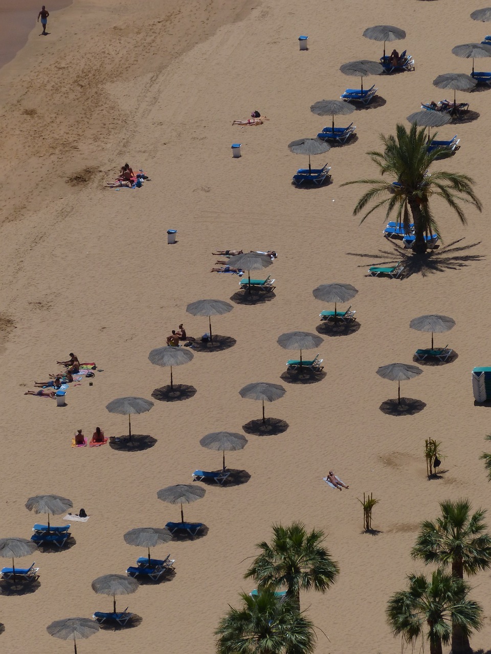 Masiva riña en playa de Viña del Mar deja dos detenidos: uno de ellos sufrió puñalada durante pelea